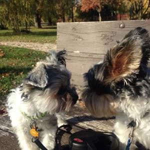 Meet your Posher, Kathryn